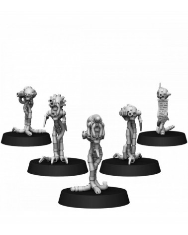 Scavenger Searchers