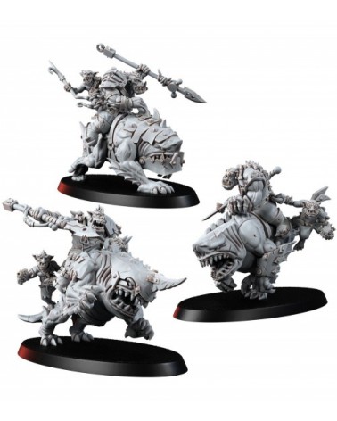 Ork Shork Riders