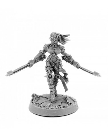 Sister Sororita With Two Swords