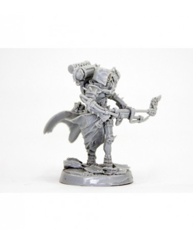 Sister Sororita Female With Heavy Flamer