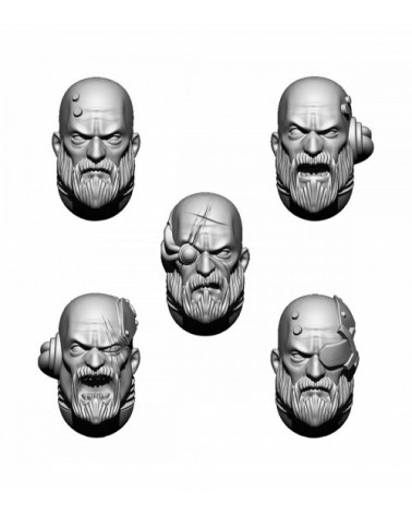 Imperial Templar Heads Set