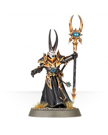 Chaos Sorcerer Lord (exclu web)