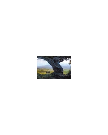 L'Anneau Unique - Livre de base