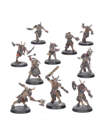 KILL TEAM: RAVAGEURS AFFREGORS / Kill Team: Fellgor Ravagers