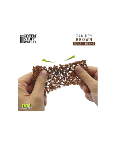 Feuillage lierre miniature - Chêne Marron - Petit / Ivy Foliage - Brown Oak - Small