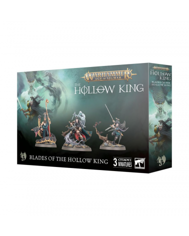 LES LAMES DU ROI VIDE / Blades of the Hollow King