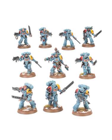 CHASSEURS GRIS