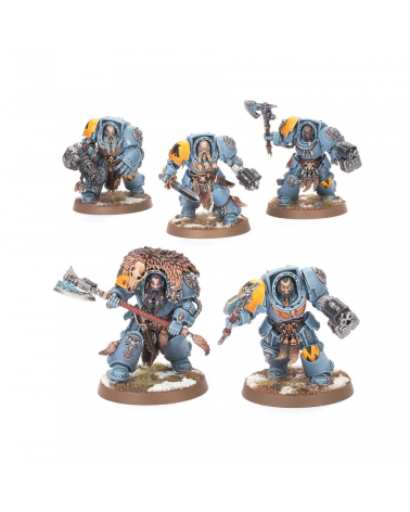 SPACE WOLVES: TERMINATORS GARDES LOUPS