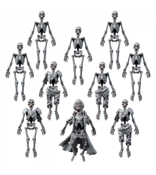 HUMAN SKELETON SET (10U)