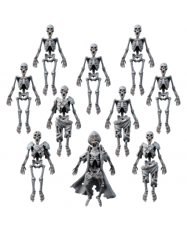 HUMAN SKELETON SET (10U)