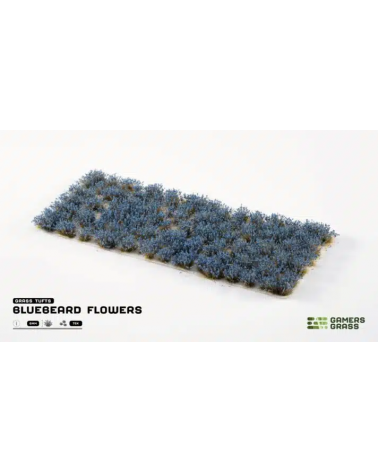 Bluebeard Flower