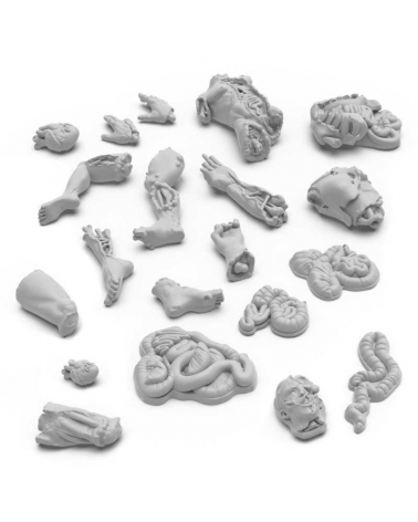 Severed Body Parts 1:48