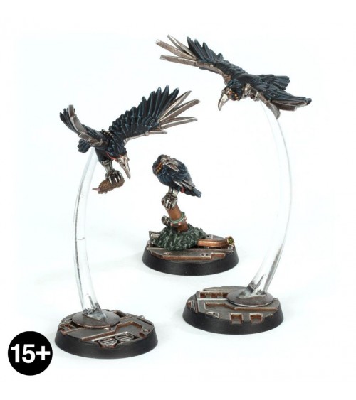 Cawdor Sheen Birds (Expert Kit)