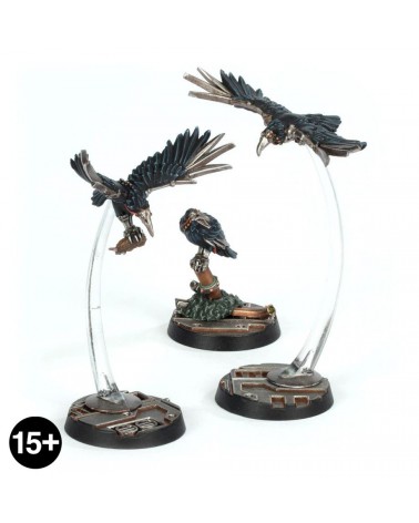 Cawdor Sheen Birds (Expert Kit)