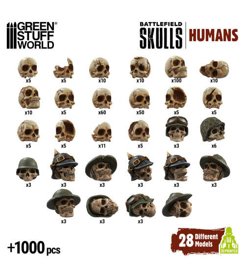 1000x Crânes Humains en résine 1:48-1:35