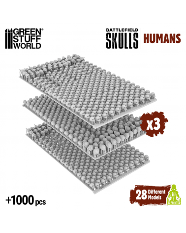 1000x Crânes Humains en résine 1:48-1:35
