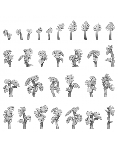 Set imprimé en 3D - Plantes de Monstera