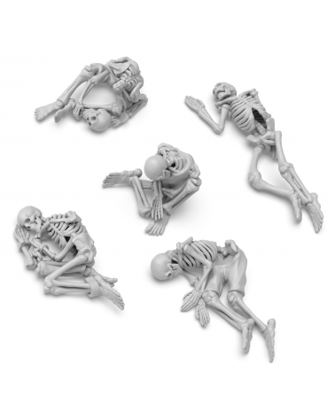 Squelettes humains 1:35