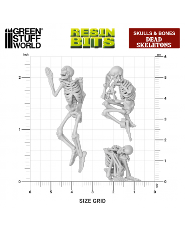 Squelettes humains 1:35