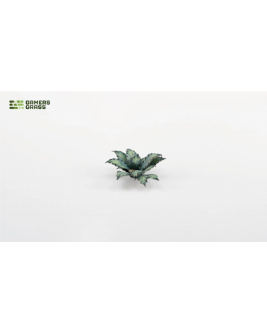 Laser Plants - Blue Agave