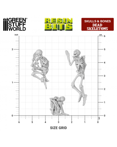 Squelettes humains / Dead Skeletons 1:48