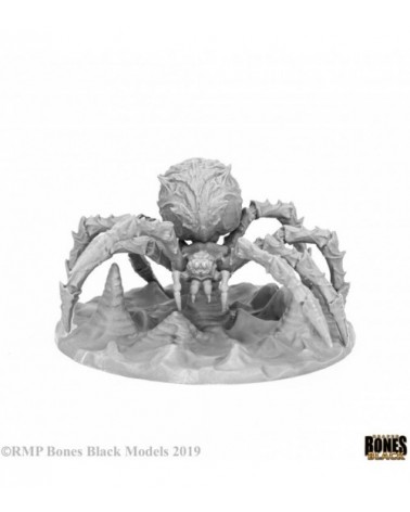 Cave Spider