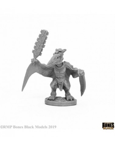 Skywing Stormcaller