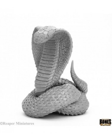 King Cobra - Bones Black Deluxe Boxed Set