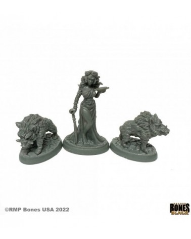 Circe and Pigs
