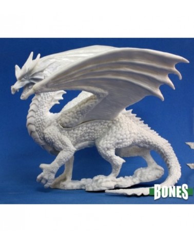Fire Dragon