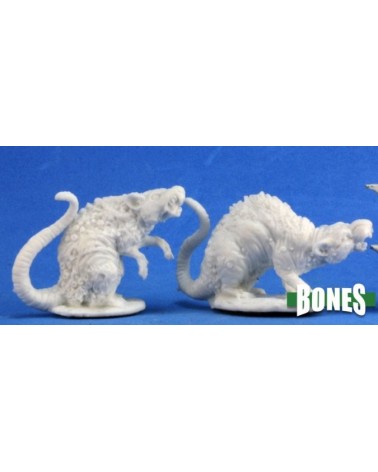 Barrow Rats (2) 07035