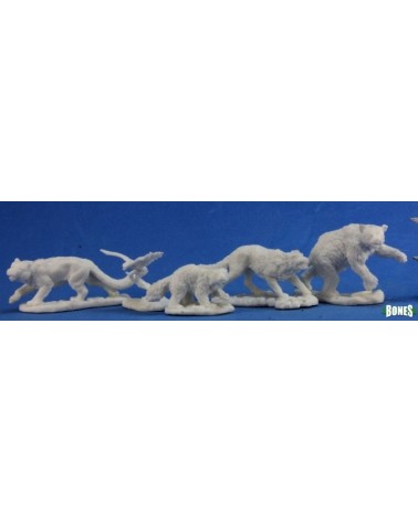 Animal Companions