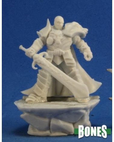 Male Antipaladin