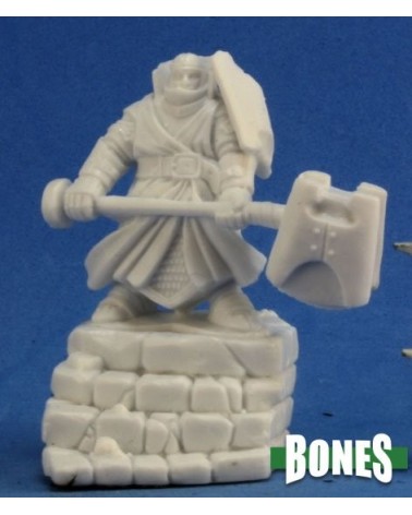Male Thunderknight