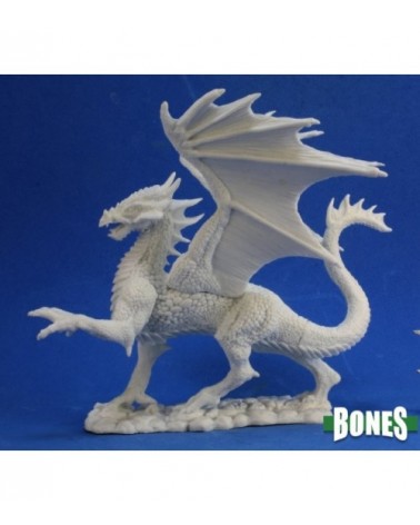 Silver Dragon