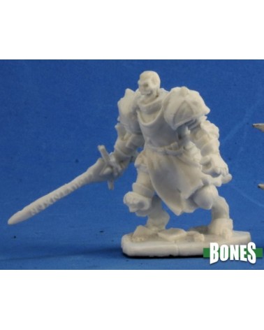 Barrow Warden 1