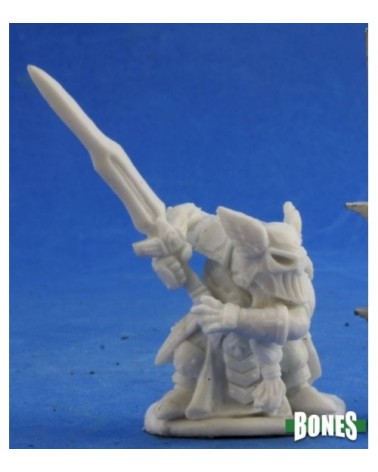 Logrim Battlefury, Dwarf Paladin