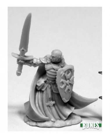 Sir Malcolm, Templar Lightbringer