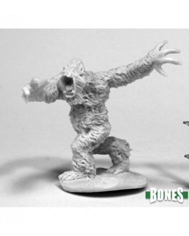 Yeti Warrior