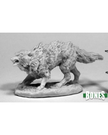 Winter Wolf
