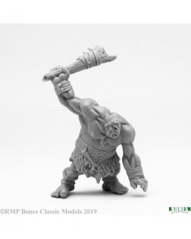 Hill Giant Lowland Warrior