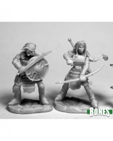 Hobgoblin Warriors (2)