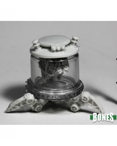 Brain In a Jar