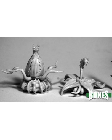 Death Star Lilies (2)