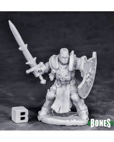 Crusader Swordsman