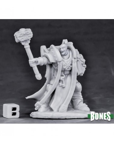 Crusader Ardent (Hammer)