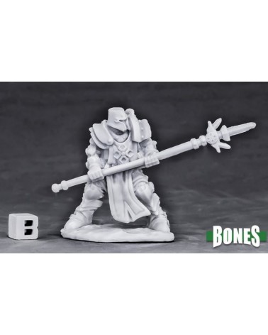Crusader Defender (spear)