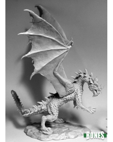 Stormwing, Dragon