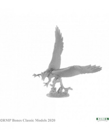 Griffon