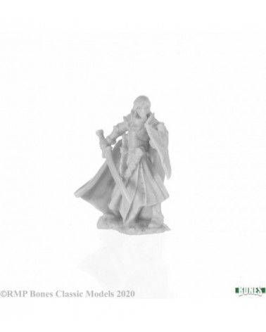 Alandin, Elf Paladin